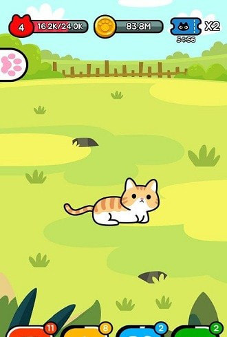 收养一只流浪的猫 2024-06-25 15:08