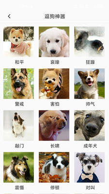 狗狗狗语翻译器