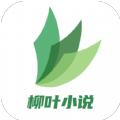 柳叶小说