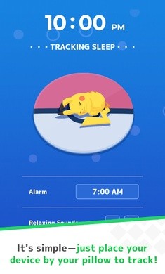 宝可梦睡眠国际测试服  v0.9.0