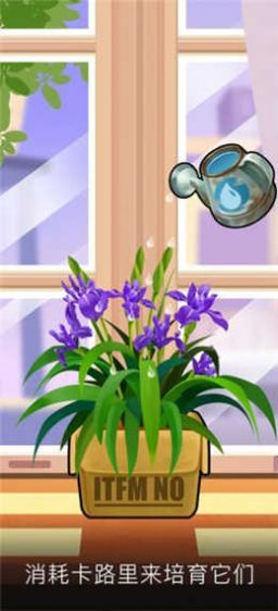 我有个花园游戏红包版  v5.3.4