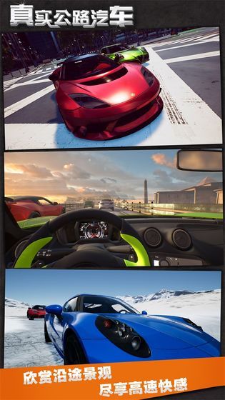 真实公路汽车2020免费金币中文版下载  v4.0.4