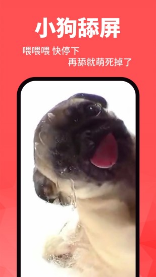 动态壁纸精灵软件 版本:v2.0.7