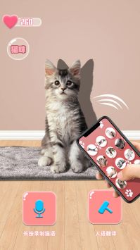 猫咪语言翻译器 v3.0.5