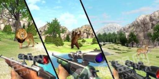 真正的丛林动物狩猎 2024-06-25 15:08