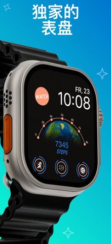 手表表盘 手表表盘