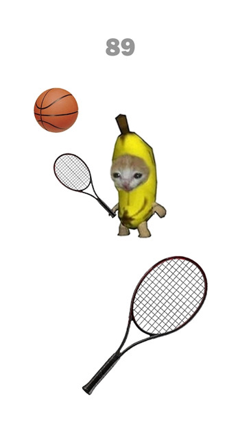 猫咪网球竞赛CatMeow Tennis