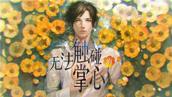 无法触碰的掌心破解版