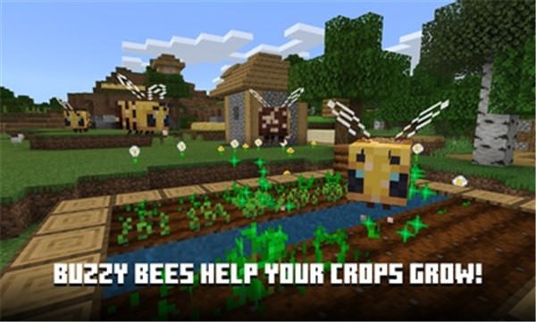 我的世界体验国际服  v1.19.60.05