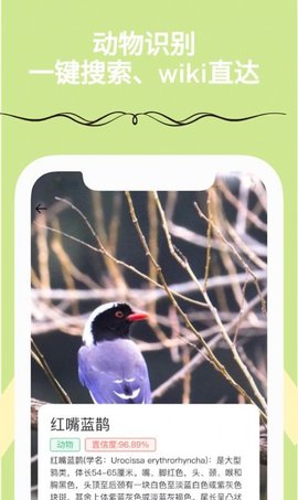 满分扫描王 v1.0.0