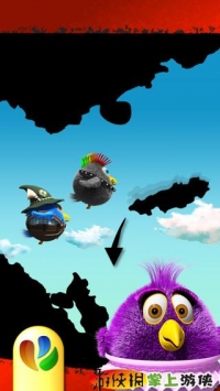 小鸟对决 Bird Duel v4.0.5