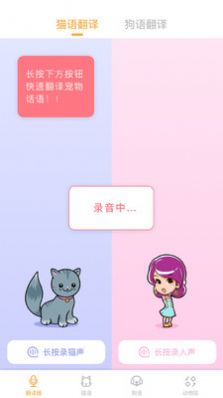 翻译猫语 v1.0.2