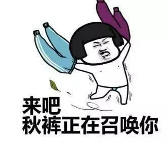 什么是入冬四件套表情包