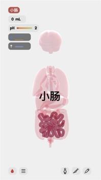 生命人体模拟器 v3.1.5
