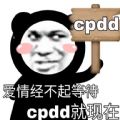 王者荣耀cpdd表情包