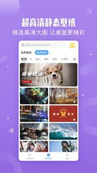 小鸟壁纸 v3.0.5