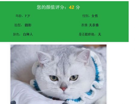 颜值测试