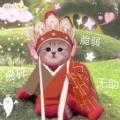 猫咪唐僧头像图片