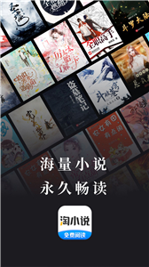 淘小说安卓版