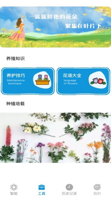 全能拍照识物  v1.2