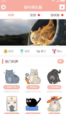 猫叫模拟器 v2.39