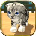 猫咪模拟器中文版