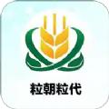 粒朝粒代