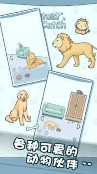 天天躲猫猫 v2.5.5