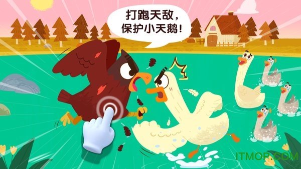 宝宝巴士宝宝鸟类认知 v9.71.00.00