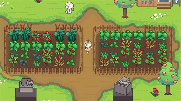 猫猫森林历险  v1.0