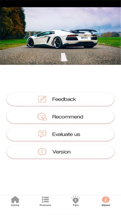 iCarmaintenancePro汉化中文版 v1.0