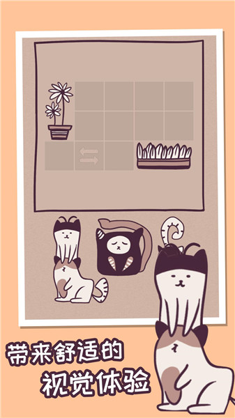 我的小猫贼好看