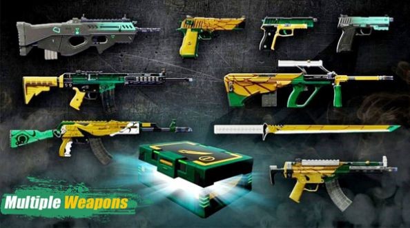 cs精准打击 2024-06-25 15:08