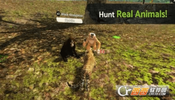 PantherOnline(猎豹模拟器OL)