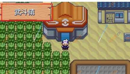 口袋妖怪漆黑的魅影