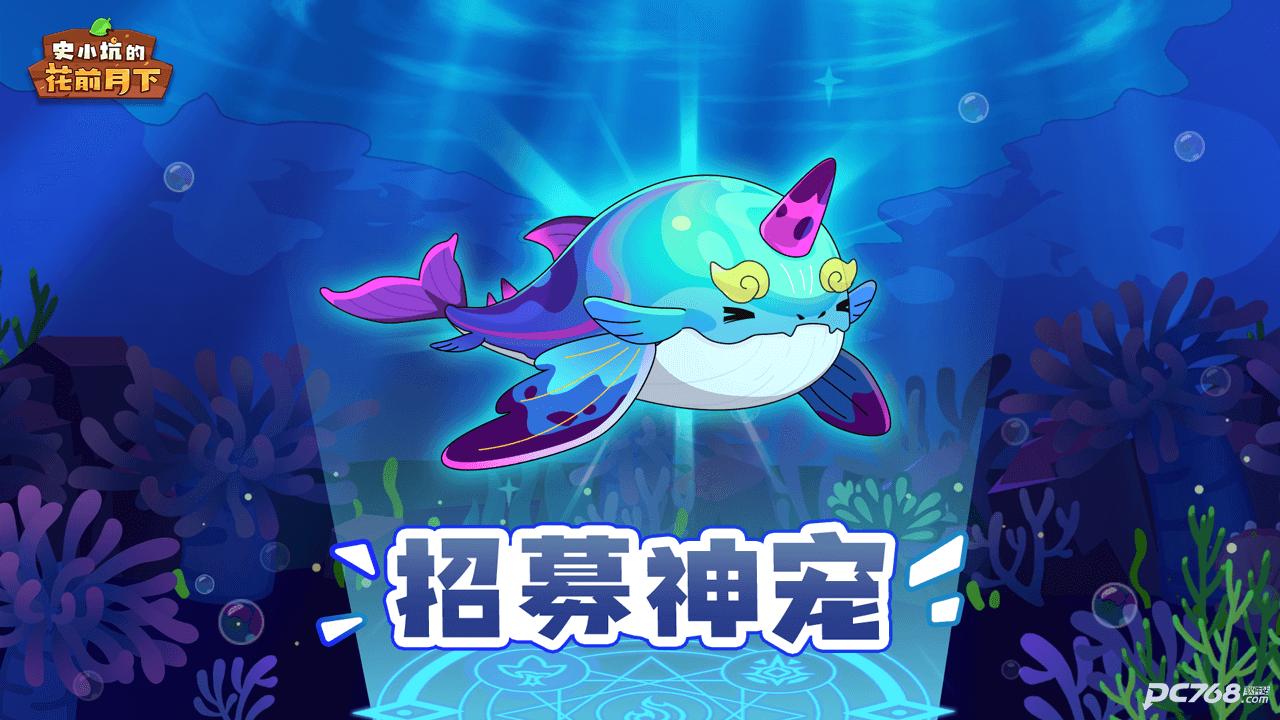 史小坑的花前月下