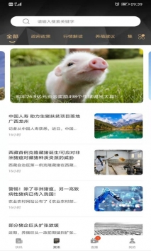 金猪数据 v2.0.5
