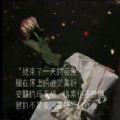 熬的不是夜,是短暂的自由背景图片 v1.0
