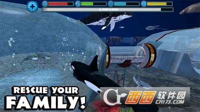 虎鲸攻击模拟3D游戏 v2.1 安卓版