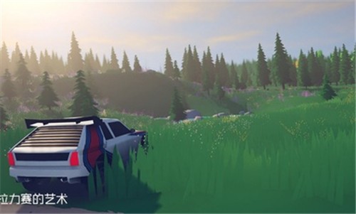 拉力赛的艺术 2021-07-19 16:05