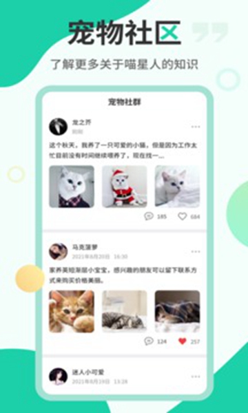 猫语翻译机 v2.6.3