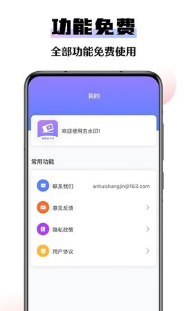 极速去水印大师 v1.0.0