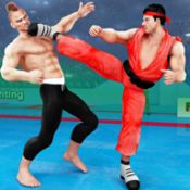 Karate Street Fight