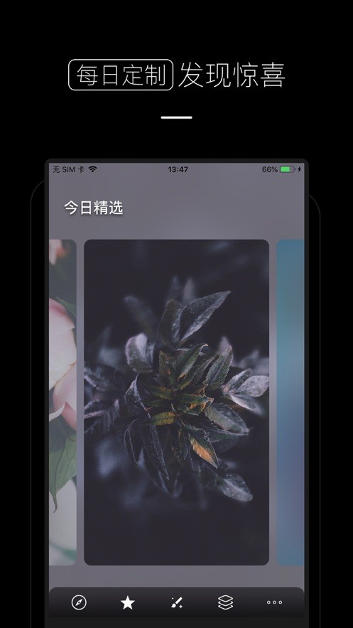 每日：精选壁纸  v1.02