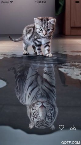 百变桌面壁纸app安卓版 截图1