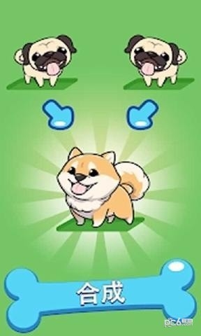 Merge Dogs(合成狗狗) v1.6.1 安卓版