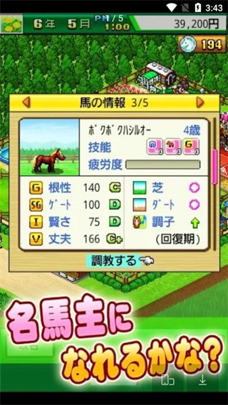 顶级跑马牧场 v4.6.3