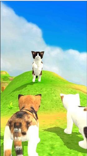 猫咪流浪记 v1.0