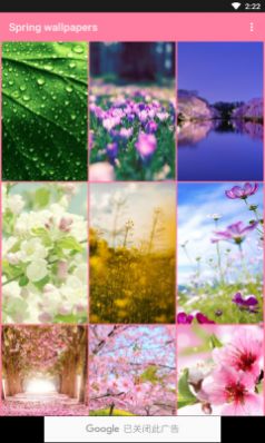 春季壁纸 v3.4.2
