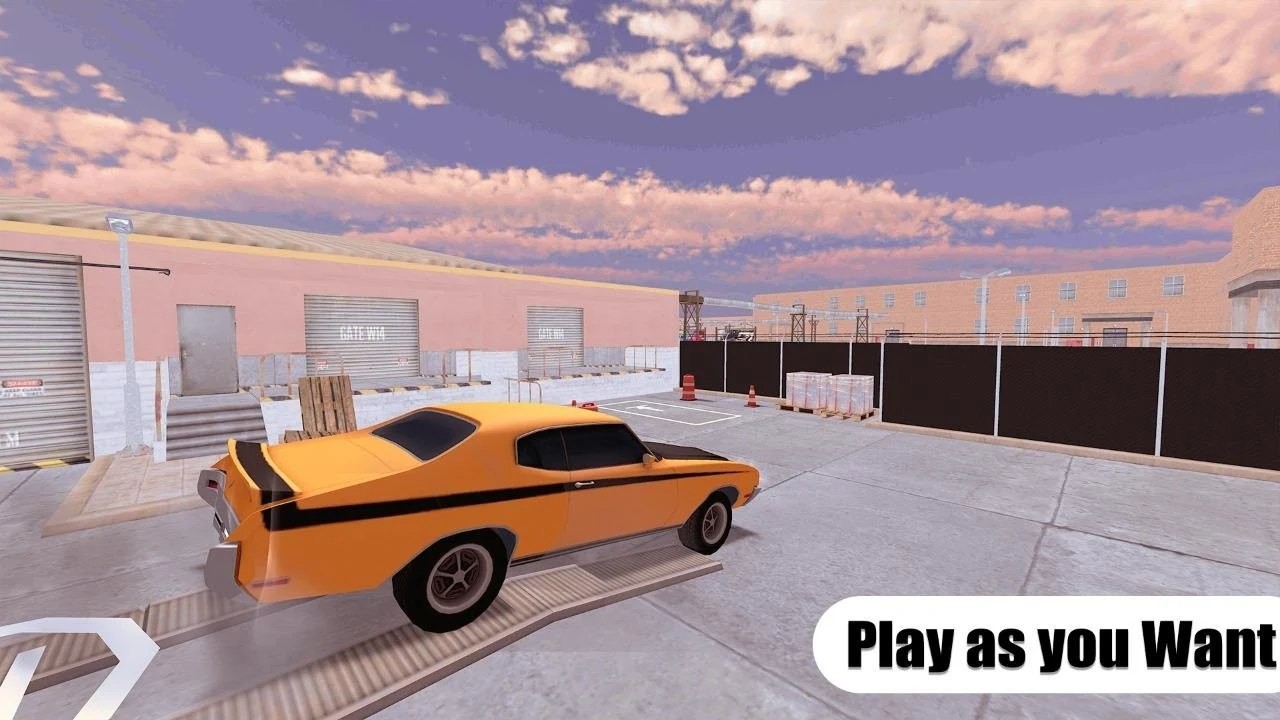 停车场和驾驶  v1.101